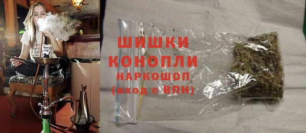 прущие грибы Арсеньев